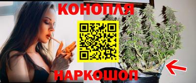 крисы Анапа