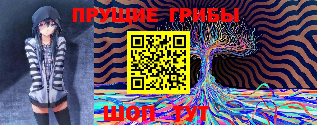 Псилоцибиновые грибы MAGIC MUSHROOMS Малоярославец