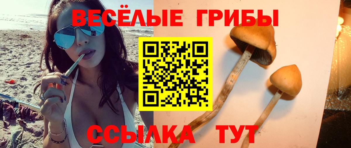 Псилоцибиновые грибы Magic Shrooms  Вход с VPN  как найти наркотики  Галлюциногенные грибы Psilocybine cubensis  Малоярославец 